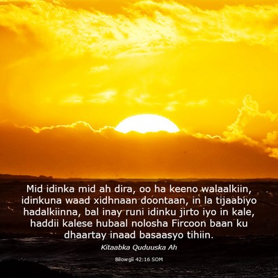 Picture 03 - Bilowgii 42:16 SOM - Mid idinka mid ah dira, oo ha keeno walaalkiin, - Bible Verse Picture