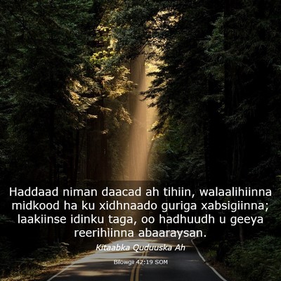 Picture 03 - Bilowgii 42:19 SOM - Haddaad niman daacad ah tihiin, walaalihiinna - Bible Verse Picture