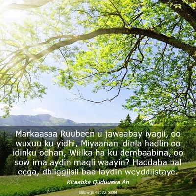 Picture 03 - Bilowgii 42:22 SOM - Markaasaa Ruubeen u jawaabay iyagii, oo wuxuu ku - Bible Verse Picture