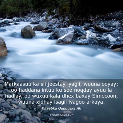 Picture 03 - Bilowgii 42:24 SOM - Markaasuu ka sii jeestay iyagii, wuuna ooyay; oo - Bible Verse Picture