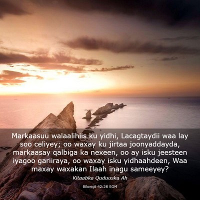Picture 03 - Bilowgii 42:28 SOM - Markaasuu walaalihiis ku yidhi, Lacagtaydii waa - Bible Verse Picture
