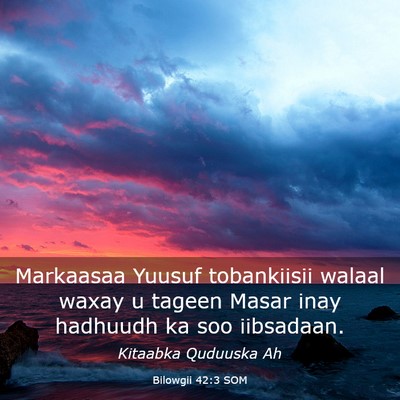 Picture 03 - Bilowgii 42:3 SOM - Markaasaa Yuusuf tobankiisii walaal waxay u - Bible Verse Picture