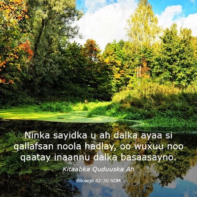 Picture 03 - Bilowgii 42:30 SOM - Ninka sayidka u ah dalka ayaa si qallafsan noola - Bible Verse Picture
