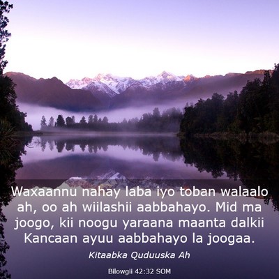 Picture 03 - Bilowgii 42:32 SOM - Waxaannu nahay laba iyo toban walaalo ah, oo ah - Bible Verse Picture