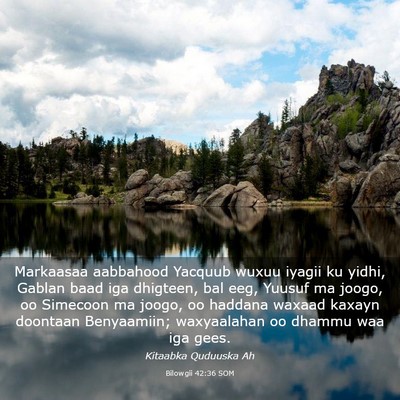 Picture 03 - Bilowgii 42:36 SOM - Markaasaa aabbahood Yacquub wuxuu iyagii ku - Bible Verse Picture