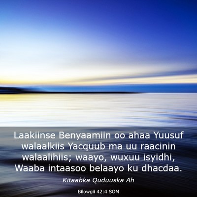 Picture 03 - Bilowgii 42:4 SOM - Laakiinse Benyaamiin oo ahaa Yuusuf walaalkiis - Bible Verse Picture
