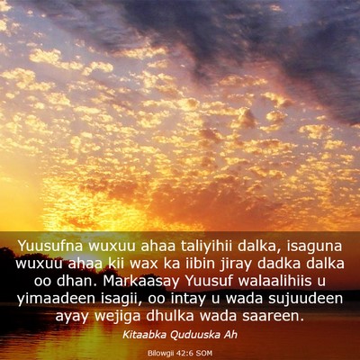 Picture 03 - Bilowgii 42:6 SOM - Yuusufna wuxuu ahaa taliyihii dalka, isaguna - Bible Verse Picture