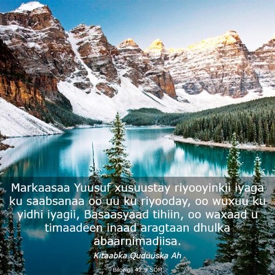 Picture 03 - Bilowgii 42:9 SOM - Markaasaa Yuusuf xusuustay riyooyinkii iyaga ku - Bible Verse Picture