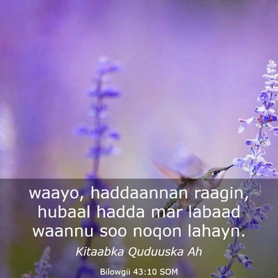 Picture 03 - Bilowgii 43:10 SOM - waayo, haddaannan raagin, hubaal hadda mar labaad - Bible Verse Picture