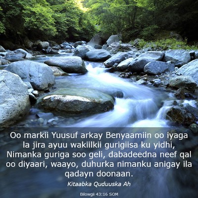 Picture 03 - Bilowgii 43:16 SOM - Oo markii Yuusuf arkay Benyaamiin oo iyaga la - Bible Verse Picture