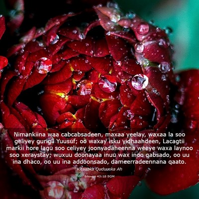 Picture 03 - Bilowgii 43:18 SOM - Nimankiina waa cabcabsadeen, maxaa yeelay, waxaa - Bible Verse Picture