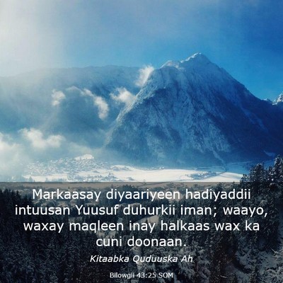 Picture 03 - Bilowgii 43:25 SOM - Markaasay diyaariyeen hadiyaddii intuusan Yuusuf - Bible Verse Picture