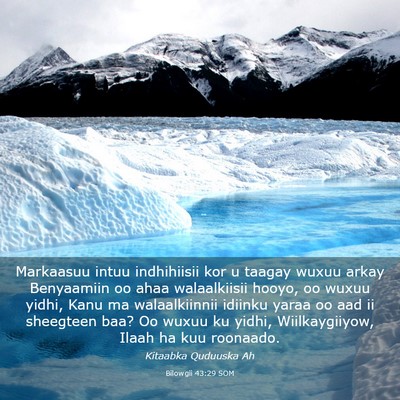 Picture 03 - Bilowgii 43:29 SOM - Markaasuu intuu indhihiisii kor u taagay wuxuu - Bible Verse Picture
