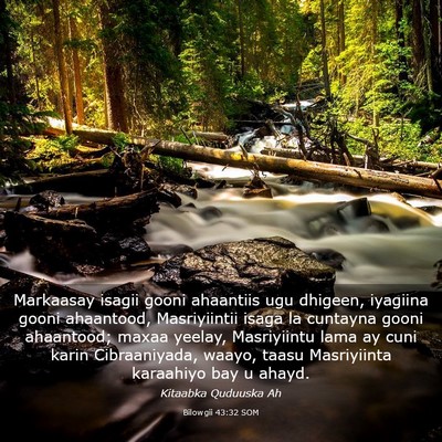 Picture 03 - Bilowgii 43:32 SOM - Markaasay isagii gooni ahaantiis ugu dhigeen, - Bible Verse Picture