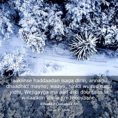 Picture 03 - Bilowgii 43:5 SOM - laakiinse haddaadan isaga dirin, annagu dhaadhici - Bible Verse Picture