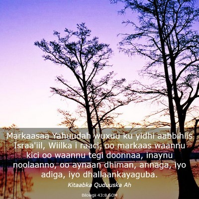 Picture 03 - Bilowgii 43:8 SOM - Markaasaa Yahuudah wuxuu ku yidhi aabbihiis - Bible Verse Picture
