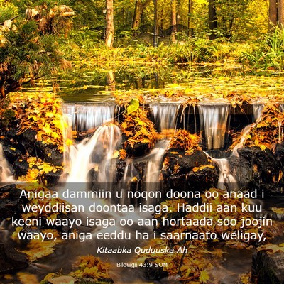 Picture 03 - Bilowgii 43:9 SOM - Anigaa dammiin u noqon doona oo anaad i - Bible Verse Picture
