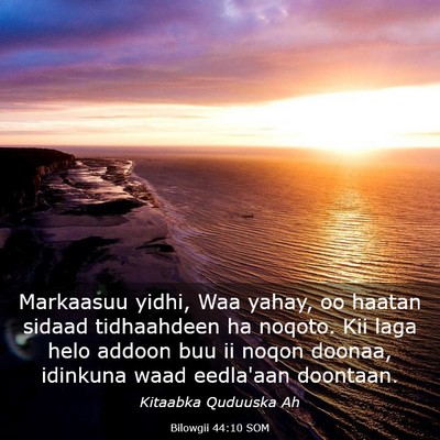 Picture 03 - Bilowgii 44:10 SOM - Markaasuu yidhi, Waa yahay, oo haatan sidaad - Bible Verse Picture