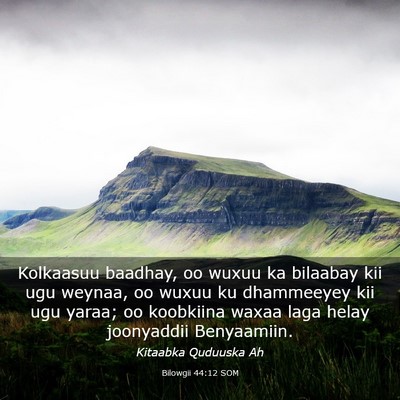 Picture 03 - Bilowgii 44:12 SOM - Kolkaasuu baadhay, oo wuxuu ka bilaabay kii ugu - Bible Verse Picture