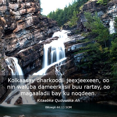 Picture 03 - Bilowgii 44:13 SOM - Kolkaasay dharkoodii jeexjeexeen, oo nin waluba - Bible Verse Picture