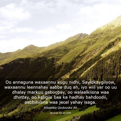 Picture 03 - Bilowgii 44:20 SOM - Oo annaguna waxaannu kugu nidhi, Sayidkaygiiyow, - Bible Verse Picture