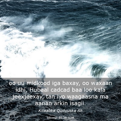 Picture 03 - Bilowgii 44:28 SOM - oo uu midkood iga baxay, oo waxaan idhi, Hubaal - Bible Verse Picture