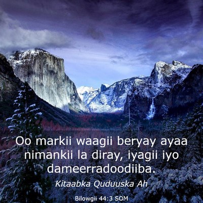 Picture 03 - Bilowgii 44:3 SOM - Oo markii waagii beryay ayaa nimankii la diray, - Bible Verse Picture