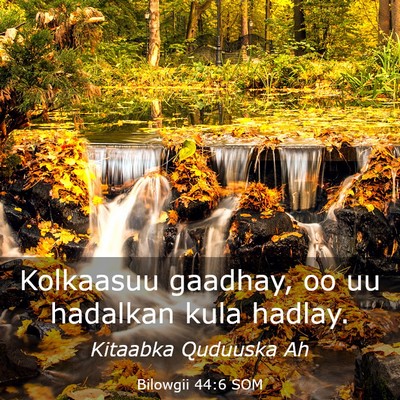 Picture 03 - Bilowgii 44:6 SOM - Kolkaasuu gaadhay, oo uu hadalkan kula - Bible Verse Picture