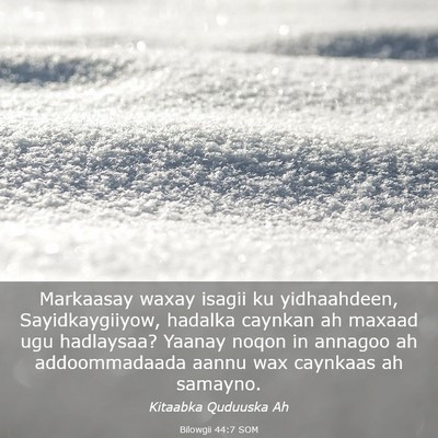 Picture 03 - Bilowgii 44:7 SOM - Markaasay waxay isagii ku yidhaahdeen, - Bible Verse Picture