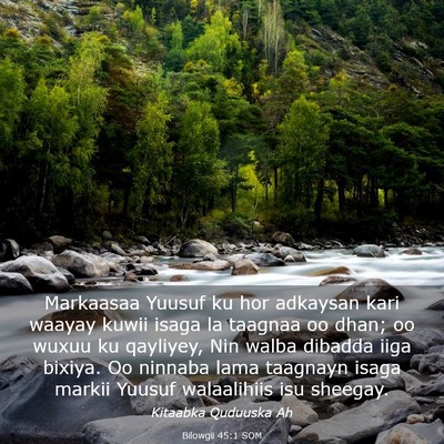 Picture 03 - Bilowgii 45:1 SOM - Markaasaa Yuusuf ku hor adkaysan kari waayay - Bible Verse Picture