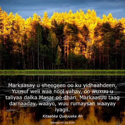 Picture 03 - Bilowgii 45:26 SOM - Markaasay u sheegeen oo ku yidhaahdeen, Yuusuf - Bible Verse Picture