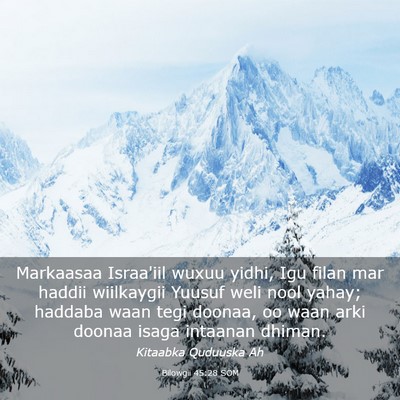 Picture 03 - Bilowgii 45:28 SOM - Markaasaa Israa'iil wuxuu yidhi, Igu filan mar - Bible Verse Picture