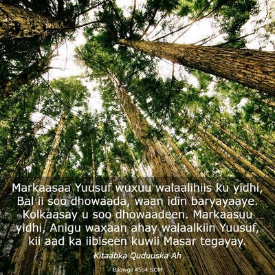 Picture 03 - Bilowgii 45:4 SOM - Markaasaa Yuusuf wuxuu walaalihiis ku yidhi, Bal - Bible Verse Picture