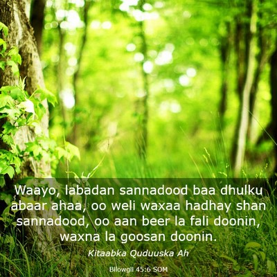 Picture 03 - Bilowgii 45:6 SOM - Waayo, labadan sannadood baa dhulku abaar ahaa, - Bible Verse Picture