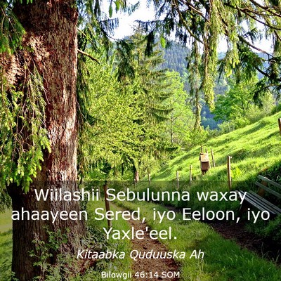 Picture 03 - Bilowgii 46:14 SOM - Wiilashii Sebulunna waxay ahaayeen Sered, iyo - Bible Verse Picture