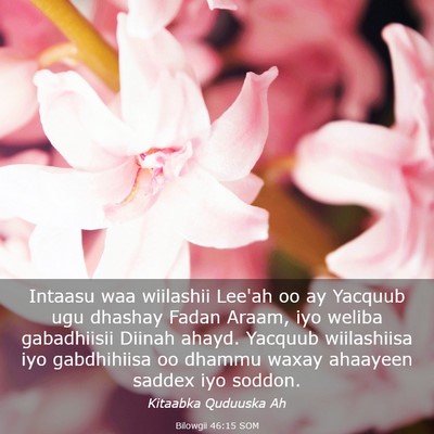 Picture 03 - Bilowgii 46:15 SOM - Intaasu waa wiilashii Lee'ah oo ay Yacquub ugu - Bible Verse Picture
