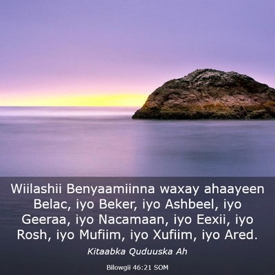 Picture 03 - Bilowgii 46:21 SOM - Wiilashii Benyaamiinna waxay ahaayeen Belac, iyo - Bible Verse Picture