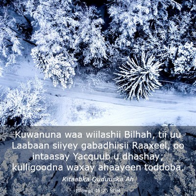 Picture 03 - Bilowgii 46:25 SOM - Kuwanuna waa wiilashii Bilhah, tii uu Laabaan - Bible Verse Picture