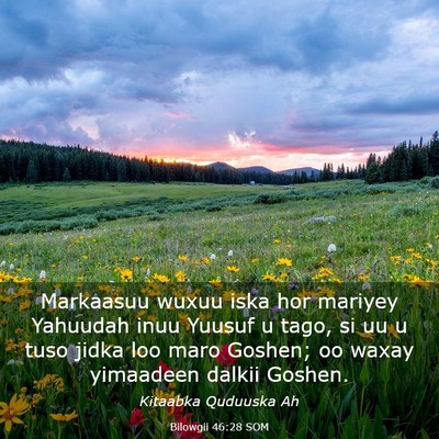 Picture 03 - Bilowgii 46:28 SOM - Markaasuu wuxuu iska hor mariyey Yahuudah inuu - Bible Verse Picture