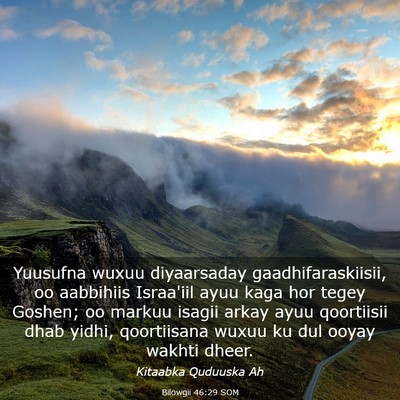 Picture 03 - Bilowgii 46:29 SOM - Yuusufna wuxuu diyaarsaday gaadhifaraskiisii, oo - Bible Verse Picture