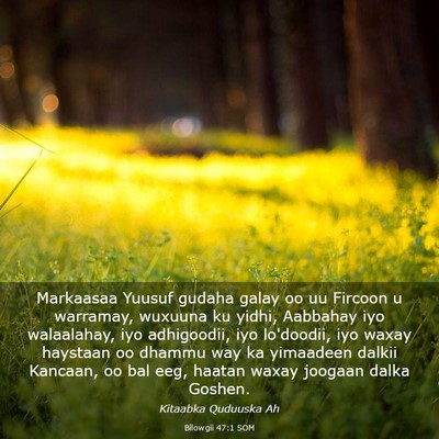 Picture 03 - Bilowgii 47:1 SOM - Markaasaa Yuusuf gudaha galay oo uu Fircoon u - Bible Verse Picture