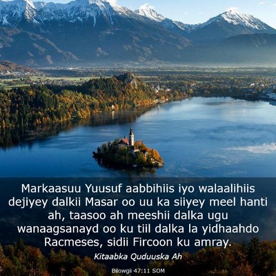 Picture 03 - Bilowgii 47:11 SOM - Markaasuu Yuusuf aabbihiis iyo walaalihiis - Bible Verse Picture