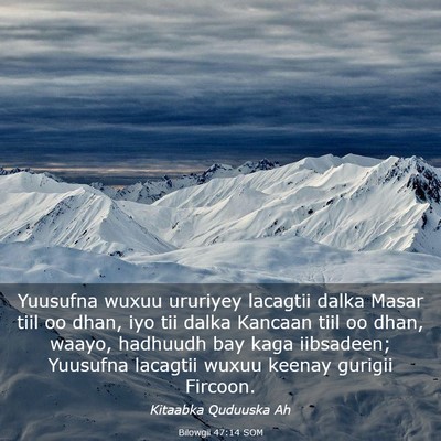 Picture 03 - Bilowgii 47:14 SOM - Yuusufna wuxuu ururiyey lacagtii dalka Masar tiil - Bible Verse Picture