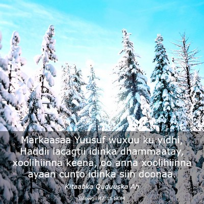 Picture 03 - Bilowgii 47:16 SOM - Markaasaa Yuusuf wuxuu ku yidhi, Haddii lacagtii - Bible Verse Picture