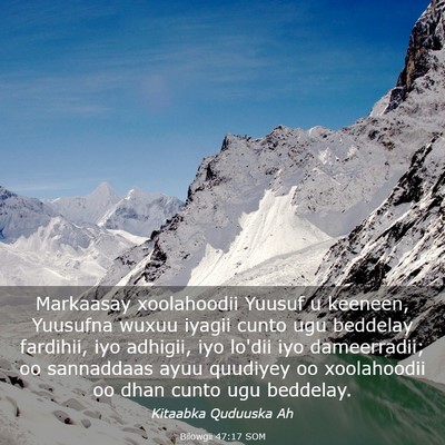 Picture 03 - Bilowgii 47:17 SOM - Markaasay xoolahoodii Yuusuf u keeneen, Yuusufna - Bible Verse Picture