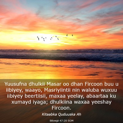 Picture 03 - Bilowgii 47:20 SOM - Yuusufna dhulkii Masar oo dhan Fircoon buu u - Bible Verse Picture