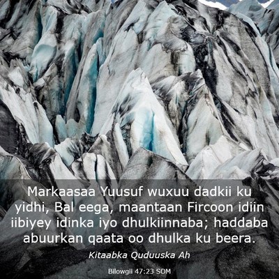 Picture 03 - Bilowgii 47:23 SOM - Markaasaa Yuusuf wuxuu dadkii ku yidhi, Bal eega, - Bible Verse Picture