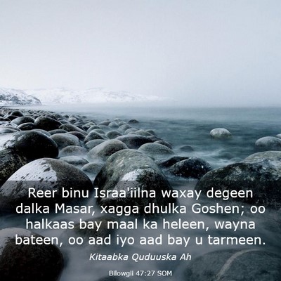 Picture 03 - Bilowgii 47:27 SOM - Reer binu Israa'iilna waxay degeen dalka Masar, - Bible Verse Picture