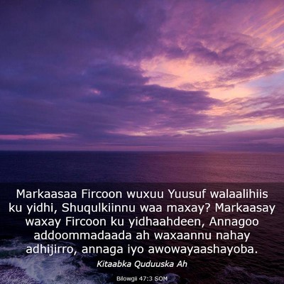 Picture 03 - Bilowgii 47:3 SOM - Markaasaa Fircoon wuxuu Yuusuf walaalihiis ku - Bible Verse Picture