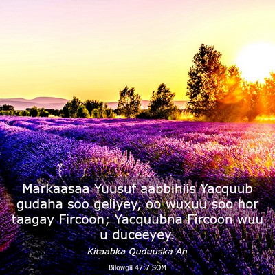 Picture 03 - Bilowgii 47:7 SOM - Markaasaa Yuusuf aabbihiis Yacquub gudaha soo - Bible Verse Picture